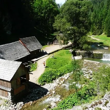 Havran